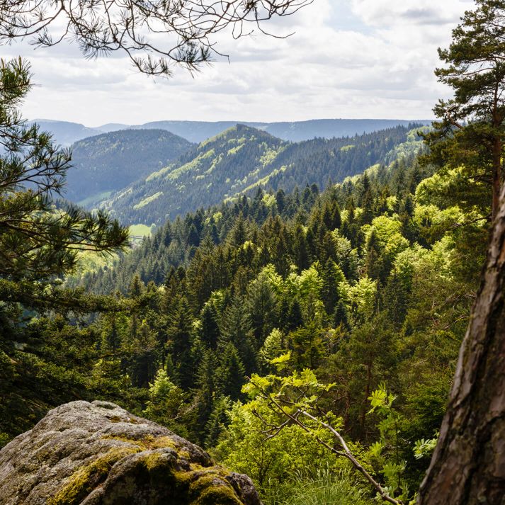 Mineralwasser stammt aus natürlichen Wasservorkommen