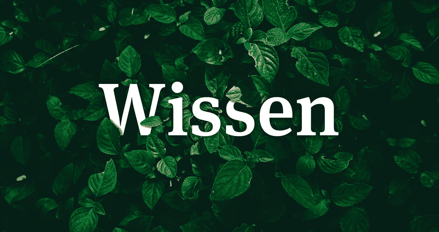 Wissen