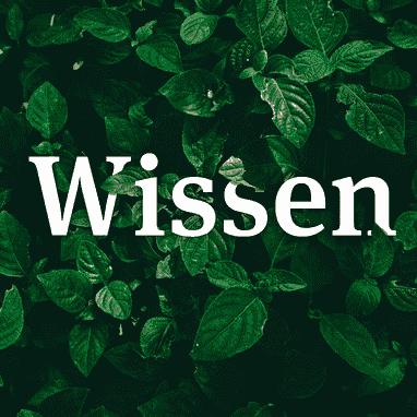 Wissen