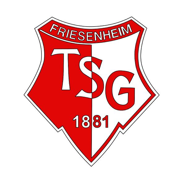 Sponsoring der TSG Friesenheim